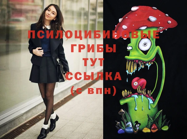 МДМА Лабытнанги
